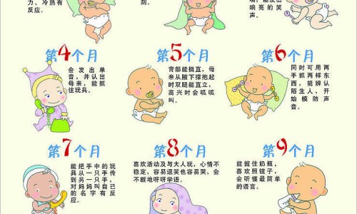 含胆固醇的食物有哪些-【含胆固醇高的食物排行榜】含胆固醇高的食物排行榜前十名 - 含胆固醇高食物有哪些食物网