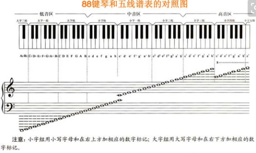 【含胆固醇高的食物排行榜】含胆固醇高的食物排行榜前十名 - 含胆固醇高食物有哪些食物网